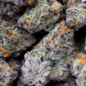 Gelato 14g