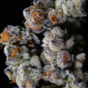 Purple Punch 3.5g